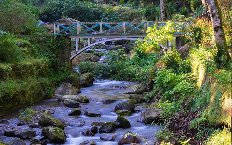 Hosanna Homestay Images