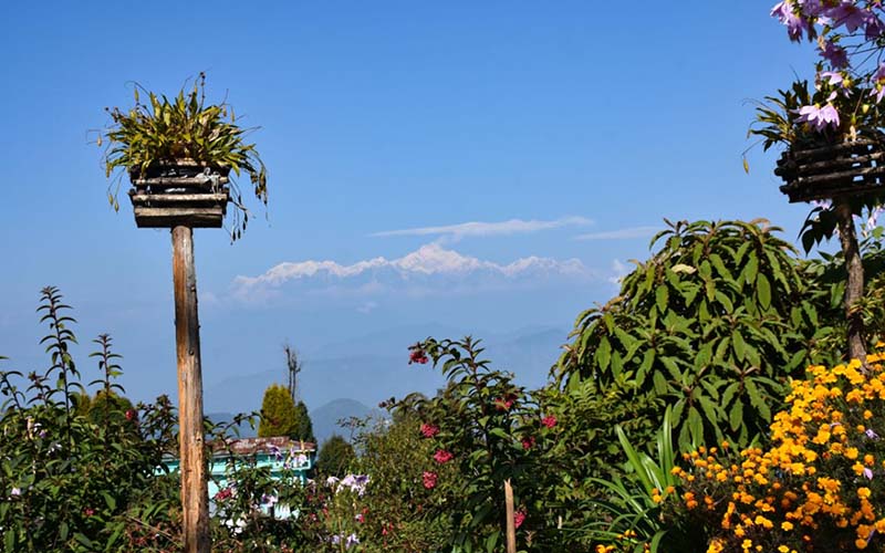 Hosanna Homestay Images