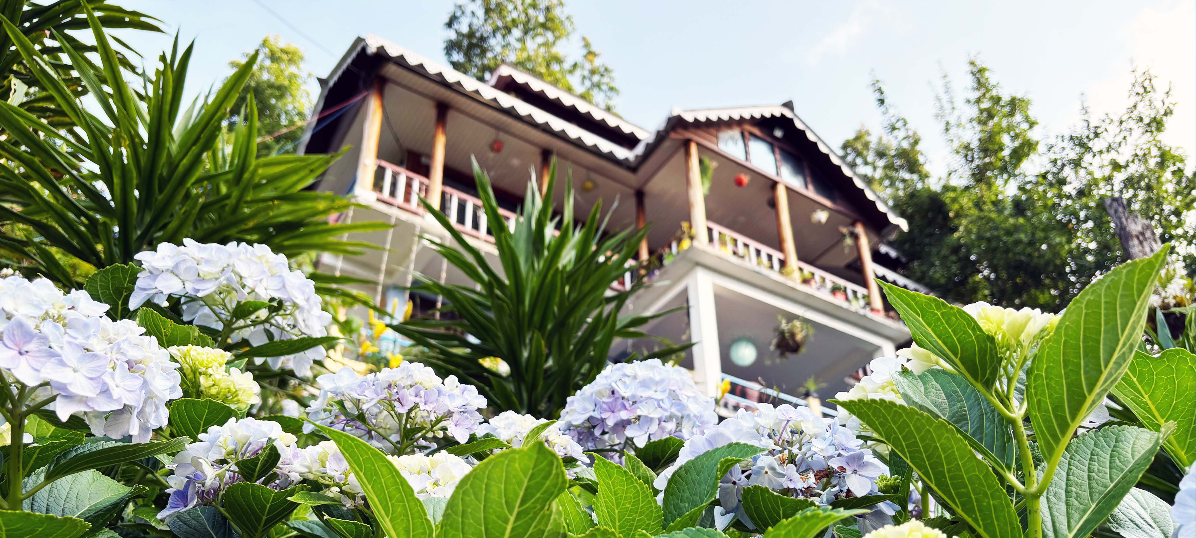 Hosanna Homestay